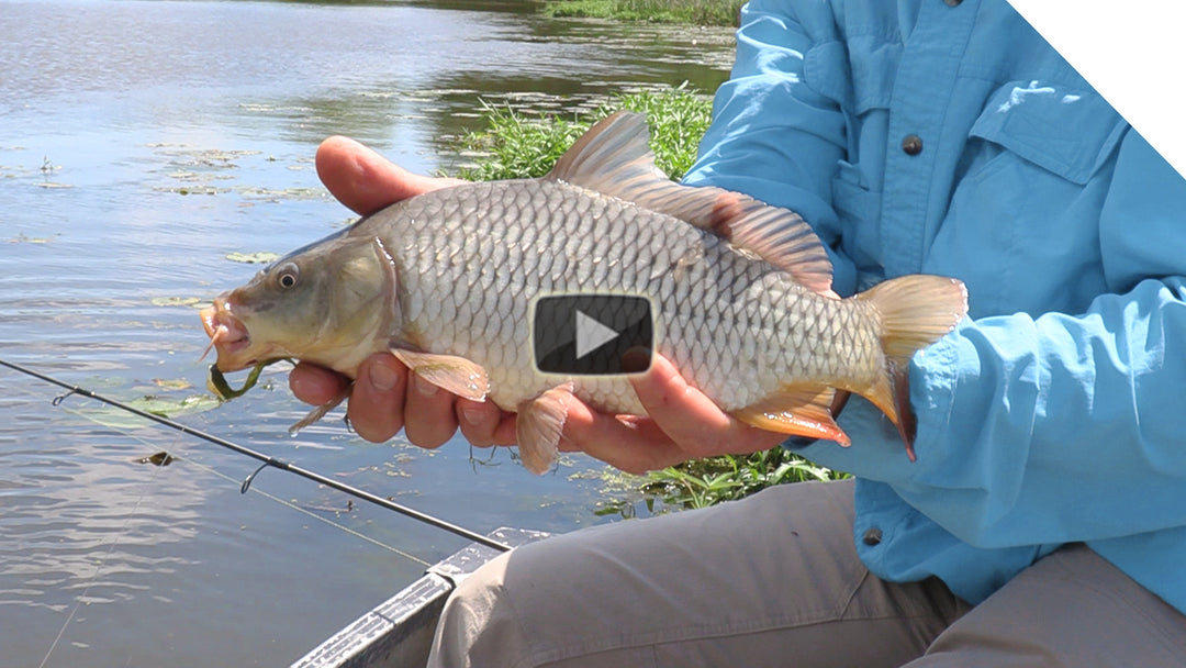 Creek Fishing using corn