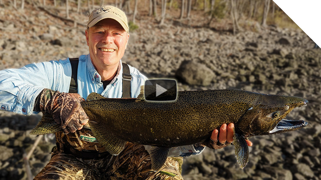 Salmon and Steelhead combo - end of the salmon run and the beginning of the steelhead run