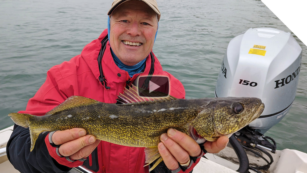 Wet Walleye - jigging in the rain