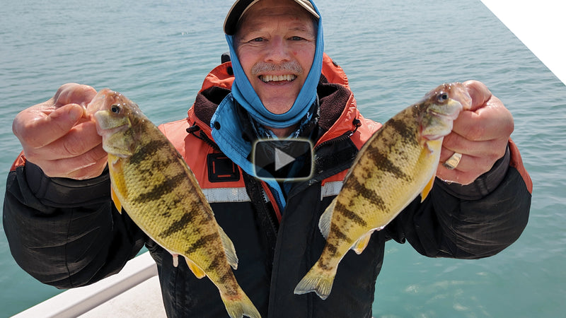 Perch Fishing - how to jig for perch