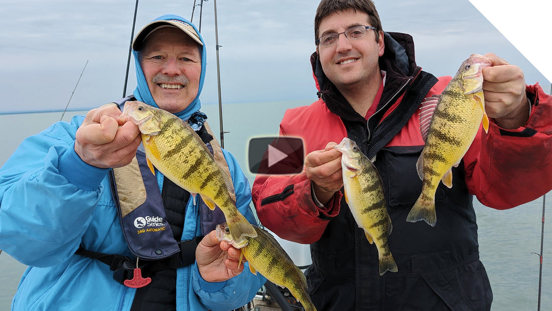 Perch fishing - no minnows, no problem :)