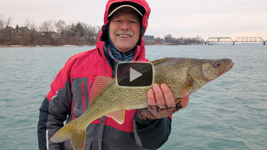 Paddle tail style baits baits for Walleye
