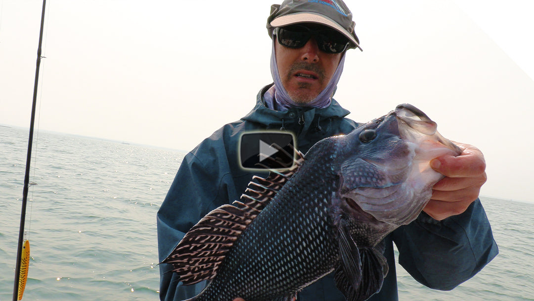 Jigging salt water of Buzzards Bay - Stingnose Peanut Bunker