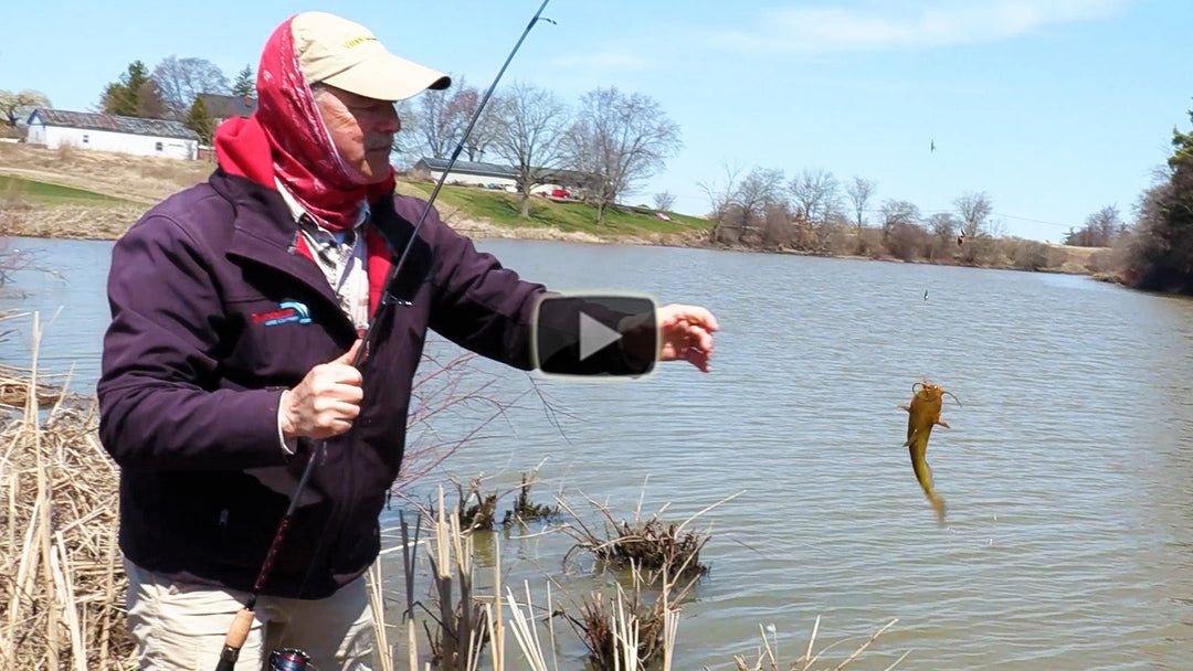 Shore Fishing for Bullhead Catfish