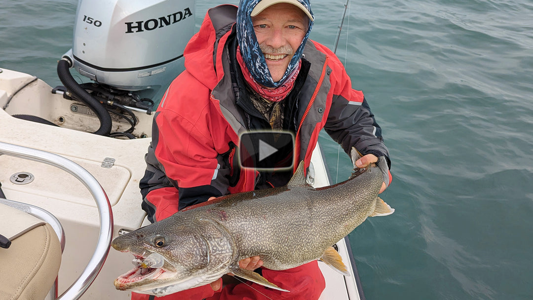 Instant Lake Trout - a surprise and a nice run