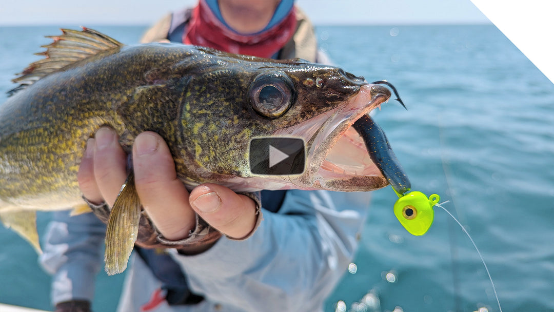 Flexi Jig Sheepshead and walleye combo